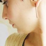 Copper stick earrings . Oxidized om..